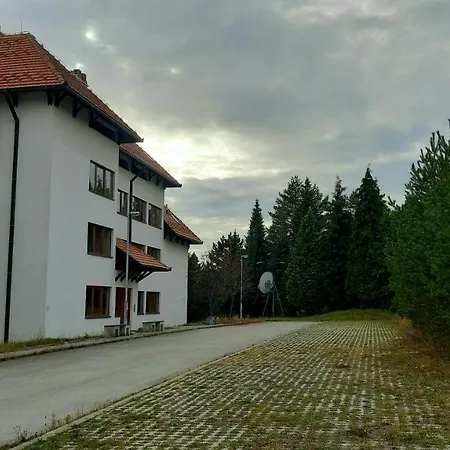 Miran San Lejlighed *