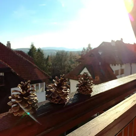 Miran San Appartement *